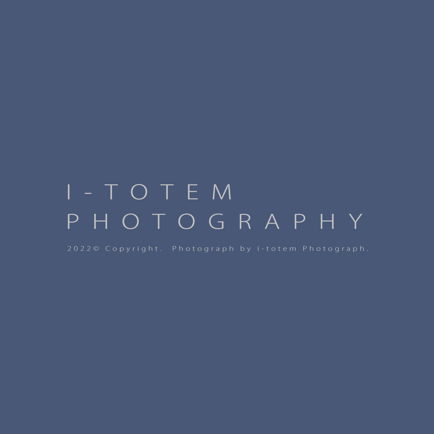 艾圖特攝影工作室Logo